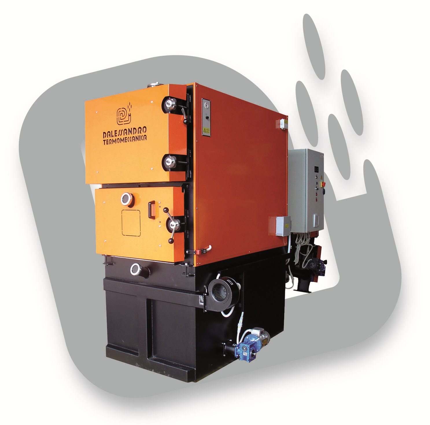 Dalessandro Biomass Boiler